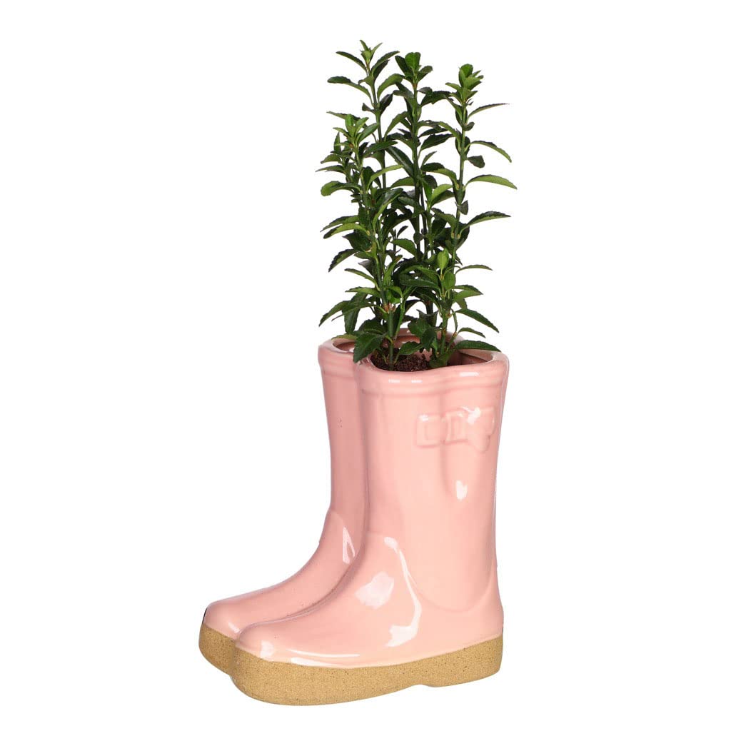 Dibor Herb Planter Wellington Boot Large Pink Flower Pot Fathers Day Gardening Gift Idea — image 1