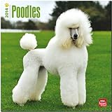  Poodles 2014 - Pudel: Original BrownTrout-Kalender [Mehrsprachig] [Kalender]