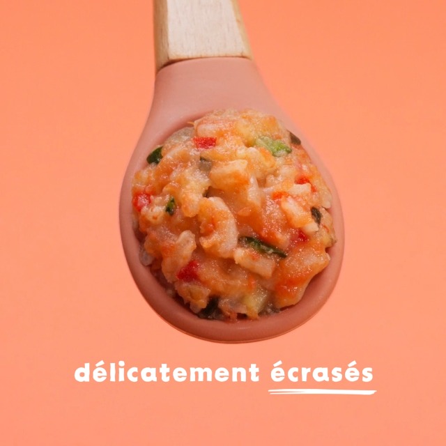 Yooji 48 Repas BIO Midi Et Soir Bébé Dès 8 Mois - Écrasés Et P'tit Dîner Lot 16x400g