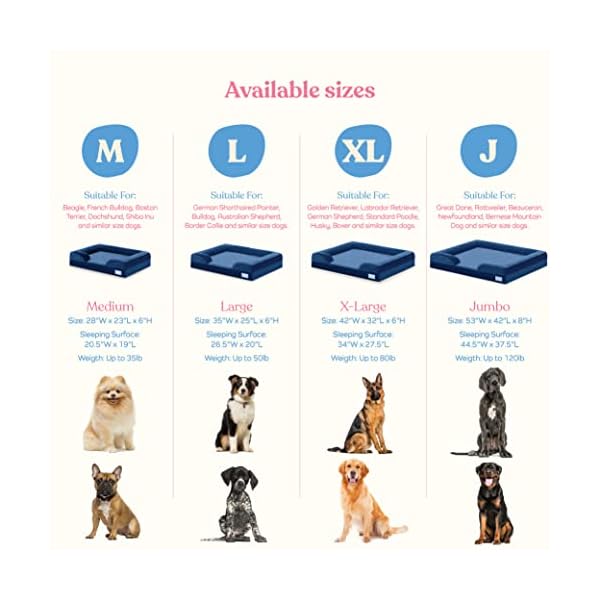Orthopädisches Sofa Hundebett – Ultra bequemes Hundebett für mittelgroße Hunde – Atmungsaktives und wasserdichtes Haustierbett – EierschaumSchlafsofa mit extra Kopf und Nackenstütze – Abnehmbarer, – Bild 6