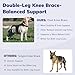 Pawfun Dog Knee Brace for Torn ACL Hind Leg- Dog Leg Support Brace with Metal Stabilizers for Torn CCL, Limping, Luxating Patella, Ligament Injuries, Hip Dysplasia& Arthritis,XXL&Vest5