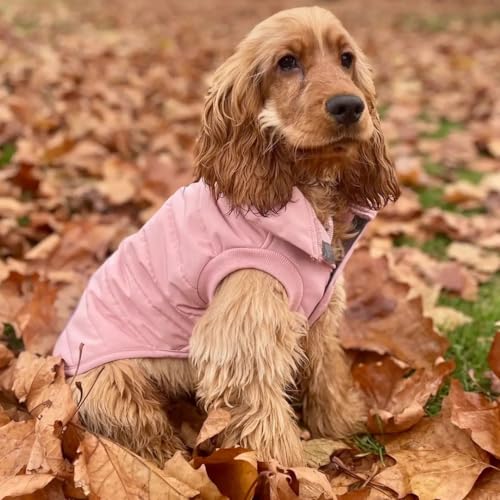 Doudoune pour chien de petite taille coupe-vent imperméable