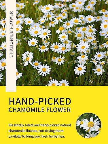 Image of TeeLux Chamomile Tea Bags, 1.5g /bag, Pure Natural Chamomile Flowers Herbal Tea, Caffeine Free, 100 Count
