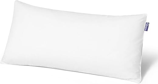 ONTDEK HET BESTE CLEMENS ZACHT DONS KUSSEN VOOR EEN NACHT VAN LUXE EN COMFORT