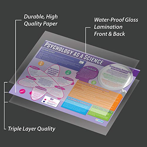 Psychology As A Science | Psychology Posters | Laminated Gloss Paper Measuring 33” X 23.5” | Psychology Charts For The Classroom | Education Charts By Daydream Education #TOP2