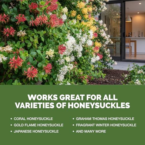 Fertilizante Líquido Honeysuckle 32 oz para Plantas miniatura 5