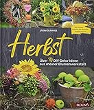 Herbst: Über 70 DIY-Deko-Ideen aus meiner Blumenwerkstatt