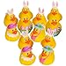2" EASTER DUCKIES
