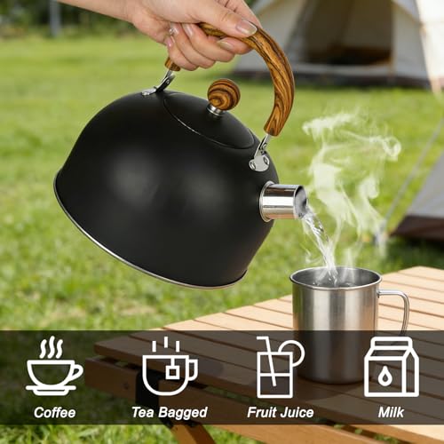 Bouilloire en acier inoxydable de qualité alimentaire supérieure 2,7L - 7