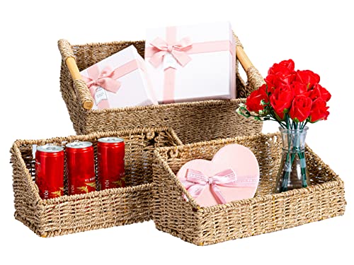 Wall Hanging Baskets For Kitchen And Bathroom, Small Wall Basket For Storage, Large Seagrass Storage Baskets For Organizing With Handles, Set Of Natural Wicker Baskets For Shelves #TOP5