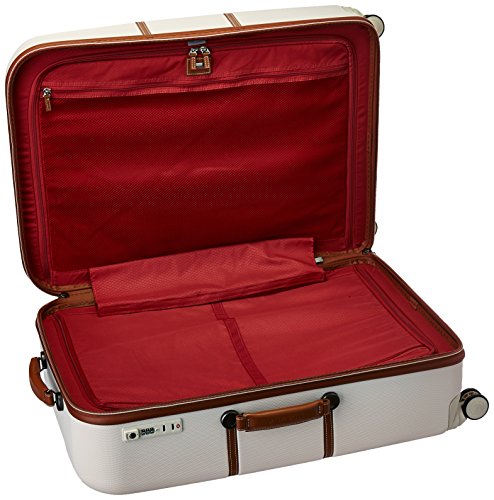 Delsey Paris Chatelet Hardside Luggage With Spinner Wheels, Champagne White, Checked-Large 28 Inch, With Brake #TOP6