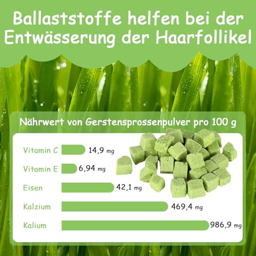 Onperpoe Katzengras Snack 40g Gefriergetrocknet Snacks Katzengras für Katzen Katzengraskörner Kauspielzeug Katze Zur Zahnpflege Zahnreiniger Haarballenentfernun Steigerung des Appetits