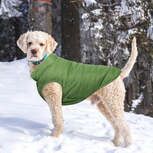 Meiwash Hundejacke, warm, für den Winter, gefüttert, für französische Bulldogge oder Mops