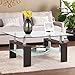 Tangkula Rectangle Glass Coffee Table, 2-Tier Tea Table w/Tempered Glass Tabletop & Stainless Steel Tube, Modern Center Side Table w/Wooden Legs & Lower Shelf, Glass End Table for Living Room