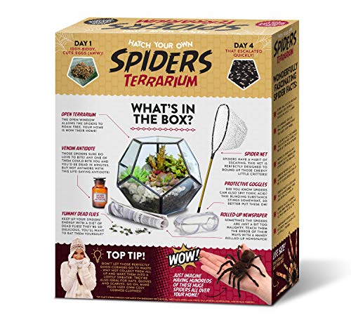 Prank Gift Box Hatch Your Own Spider Terrarium - Perfect Gag Gift and Funny White Elephant Idea - Image 5