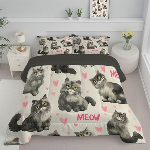 ANALTIRCE Trapunta Singolo, Piumone Invernale in Microfibra, Caldo e Traspirante Reversibile Astratto Animale Gatto Carino Piumino per 4 Stagioni, 140x200cm Trapuntino con 1 Federa 50x75cm