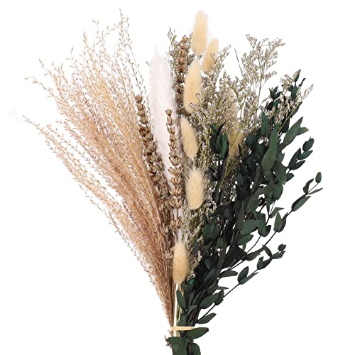 ALTcompluser Trockenblumen Deko Pampasgras Getrocknete Blumen Natürliche Dried Flowers Eukalyptus Deko Pflanzen Blumenstrauß Boho Pampas Deko für Wohnzimmer Home Hochzeit Vasen(Ca 22 Stück)