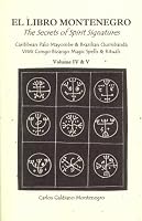 The Secrets of Spirit Signatures 1886105197 Book Cover