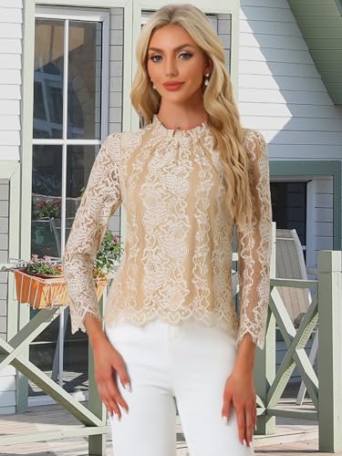 Allegra K Women Lace Long Sleeve Top Ruffle Neck Floral Elegant Blouse Dressy Casual Lace Shirt Medium Apricot White