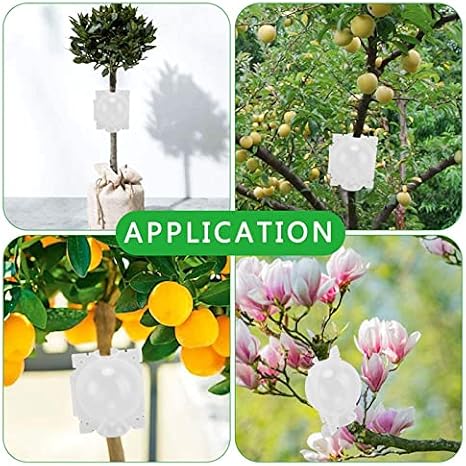 Pssopp 10Pcs Plant Rooting Device, Plant Root Growing Box Reusable Plant Grafting Box for Plant Propagation Reasable Propagation Rooting Ball