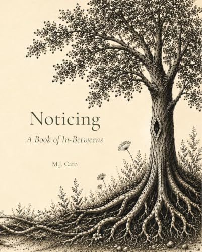 Noticing: A Book of In-Betweens (The Noticing Collection)