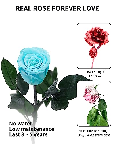 Image of Sky Blue Flowers for Delivery Prime, Preserved Blue Roses Flower Gifts for Women, Real Roses Single Rose Gifts for Her, Mom Birthday Gifts from Daughter, Valentines Flowers