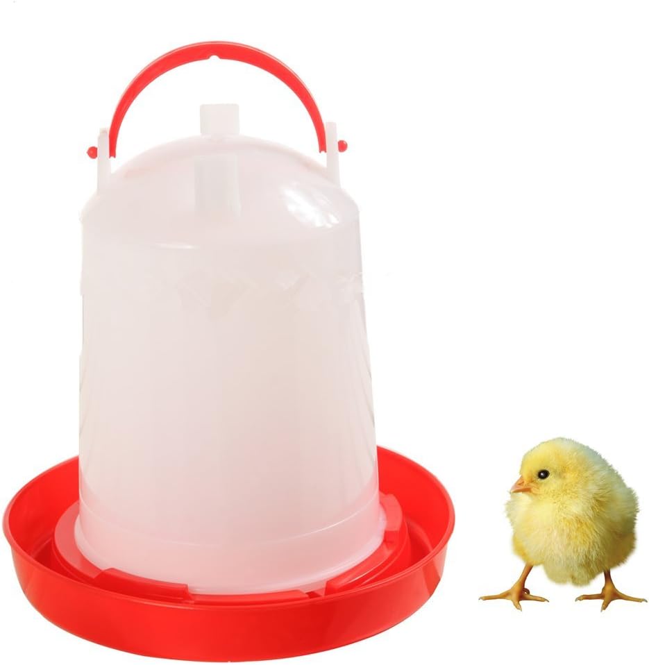 Everyday 1 Gallon Chicken Waterer Plastic Poultry Fount Complete Water Fountain with Red Base