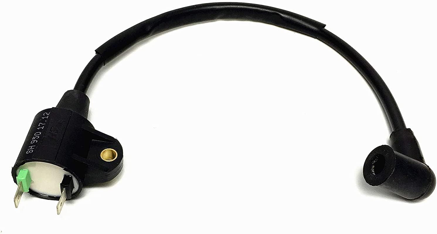 4-Wire Magneto W/ Built-in CDI Ignition Coil Spark Plug For Harbor Freight Storm Cat 60338 69381 For Tail Gator 800 900w 63025 63024 For Pulsar Pg1202s For Etq950 2hp 2 Cycle 63cc 64cc Gas Generator - Foto 9