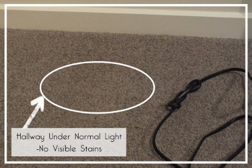 Windfire® Mini Zoomable 3 Modes Uv-Ultraviolet Led Blacklight Flashlight Pocket Torch For Money Detector, Leak Detector And Cat-Dog-Pet Urine Detector (Battery Not Included) #TOP3