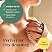 Bare Botanics Exfoliating Dry Brushing Body Brush for Lymphatic Drainage | Palm Sized, Universal Fit, & an Elastic Strap | Medium Firmness Dry Brush for Body