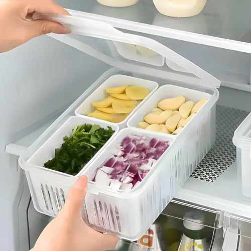Image of VYOOx Fridge Storage Box with Lid & 4 Compartments | Refrigerator Organizer Basket for Fruits, Vegetables, Onion, Garlic & Herbs | Plastic Food Storage Container for Kitchen & Fridge