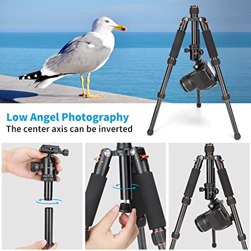 Koolehaoda Portable Mini Tripod With 360 Degree Ball Head,Height Adjustable 8.3-25Inch Compact Desktop Mini Tripod For Dslr Camera Video Camcorder, Load Up To 22Lbs /10Kg (Orange) #TOP2