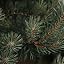 Pine & Sage