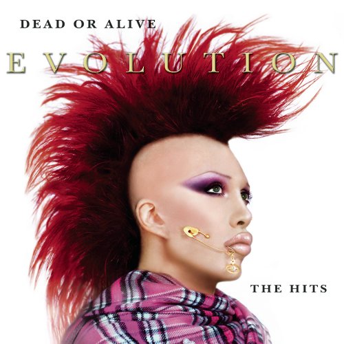 Dead Or Alive EVOLUTION THE HITS 輸入盤 CD Amazon.com: Evolution: The Hits