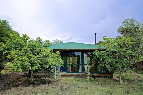 163. Embracing Inner Work: Transforming Leadership from Unconscious Patterns to Self-Mastery