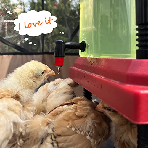 Zenxyhoc Chick Waterer 1L With 1 Horizontal Chicken Nipple Drinker Red (Pack Of 1) #TOP4