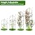 2 Pack Garden Obelisk Trellis for Climbing Plants, 72" Metal Rustproof Rose Trellis, Tower Potted Cages Plant Support for Flowers/Vegetables/Vines, Indoor Outdoor Garden Patio