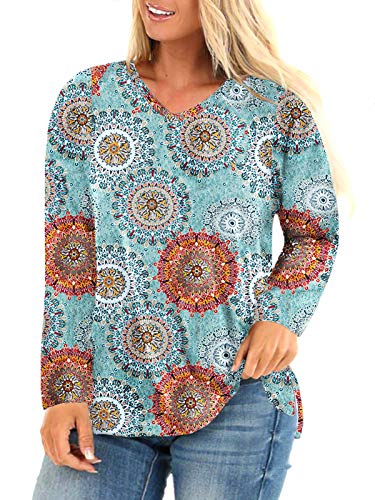 ROSRISS Womens Plus Size Shirts 3X Long Sleeve V Neck Top Tunics C 24W