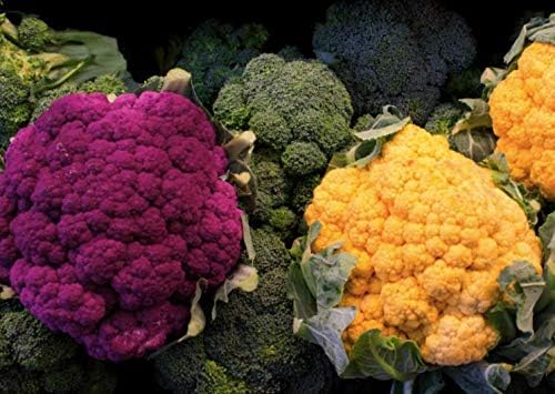 Miniatura 9 de Semillas Col Col Mezcla Heirloom Vegetal Sin OGM