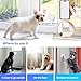 YisTech WiFi Dog Door Bell for Potty Training to Go Outside, Smart Doggie Door Bell for Dog, Wireless Doggy Doorbell with Phone App (One Button Two WiFi Receiver)
