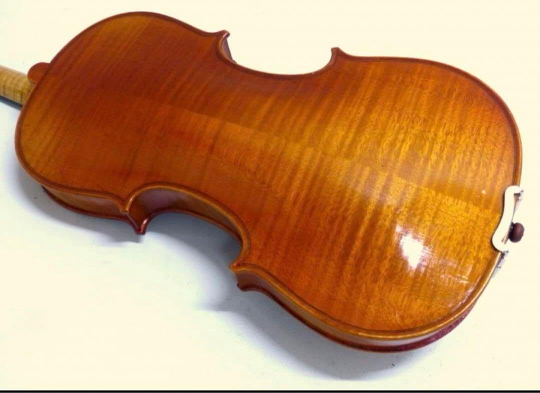 ヴァイオリン　イタリア製のビジャッキ•モデル　GEWAケース（布カバー無し）付 ヴァイオリン イタリア製のビジャッキ•モデル GEWAケース（布カバー