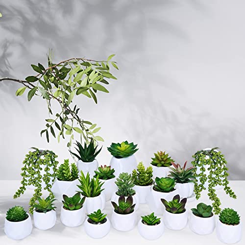 Winlyn 21 Pcs Assorted Artificial Succulents Plants Unpotted Small Green String Of Pearls Cacti Aloe Picks Fake Succulents Bulk For Succulent Garden Wreath Floral Arrangement Indoor Outdoor Home Decor #TOP5