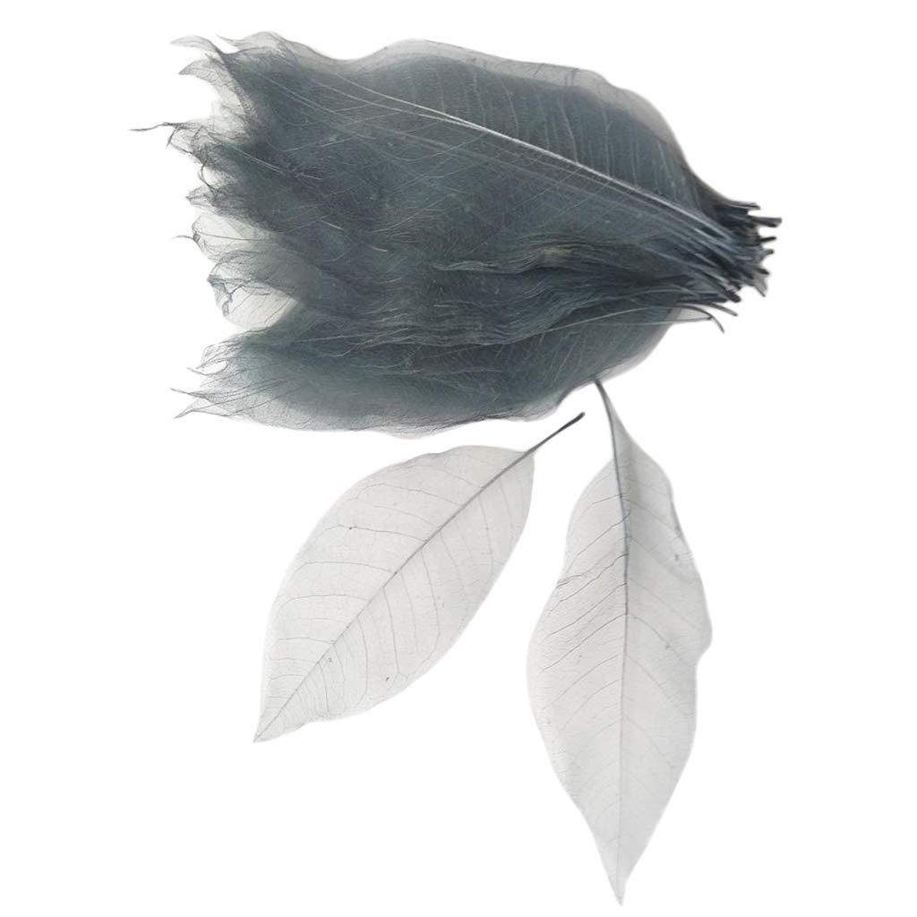 100x Natural Magnolia Skeleton Leaf Leaves Scrapbooking Grey White