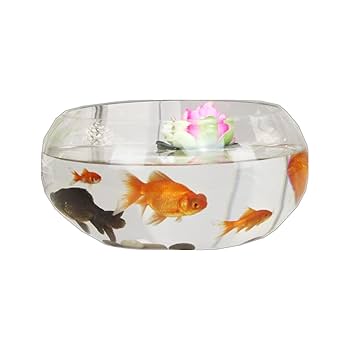Amazon | 金魚鉢 ミニ魚タンク 水槽 花瓶丸型 ガラス 透明