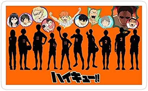 Karasuno Bubble Lineup, Haikyuu Decal Sticker - Sticker Graphic - Auto, Wall, Laptop, Cell, Truck Sticker for Windows, Cars, Trucks