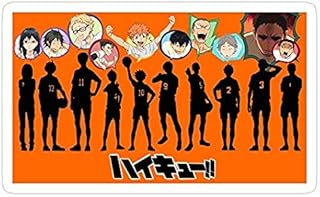 Karasuno Bubble Lineup, Haikyuu Decal Sticker - Sticker Graphic - Auto, Wall, Laptop, Cell, Truck Sticker for Windows, Cars, Trucks