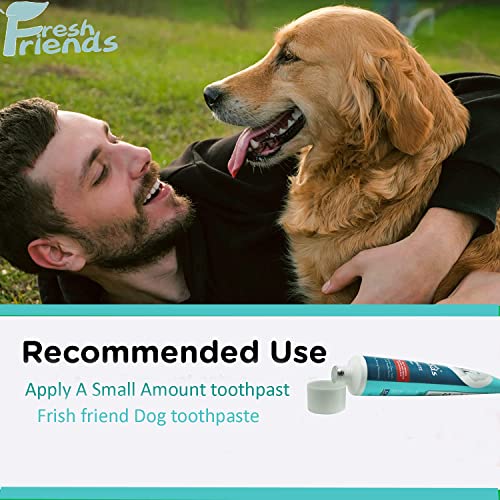 Fresh Friends Enzymatic Toothpaste for Dogs | Puppy Toothpaste | Gum Toothpaste | Improves Gum Health | Eliminates Bad Breath, Dog Toothpaste Tartar Remover & Plaque Remover | Dog Dental Care (Beef) Fresh Friends Enzymatic Toothpaste for Dogs | Puppy Toothpaste | Gum Toothpaste | Improves Gum Health | Eliminates Bad Breath, Dog Toothpaste Tartar Remover & Plaque Remover | Dog Dental Care (Beef)