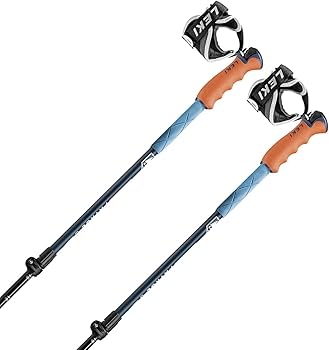 Amazon | LEKI〔レキ スキー ポール ストック〕＜2022＞PATROL VARIO S