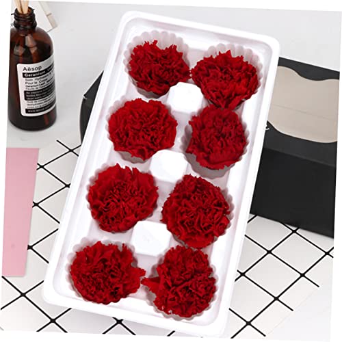 Zerodeko 2pcs Eternal Carnation Flores Secas para Ramo miniatura 6