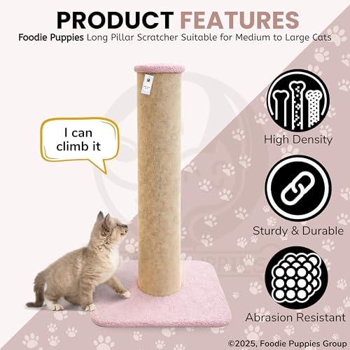 Image of Foodie Puppies Cat Scratching Post with Stable Base (78 cm, Long Pillar) | Durable Cardboard Paper Scratch Pole for Cats & Kittens | Indoor Cat Scratcher for Furniture Protection | Easy to Assemble